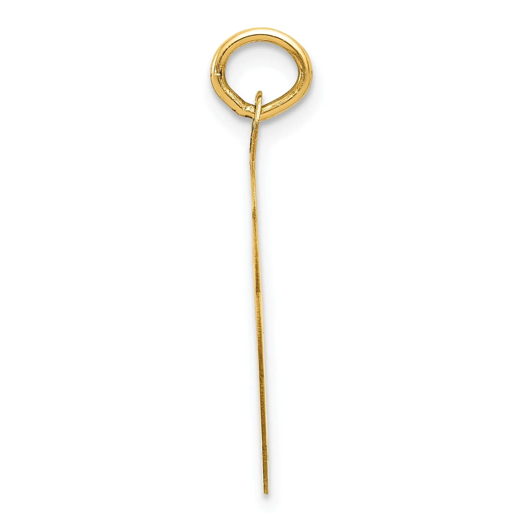 14K Yellow Gold Polished Brushed Mens Swimming Disc Charm Pendant