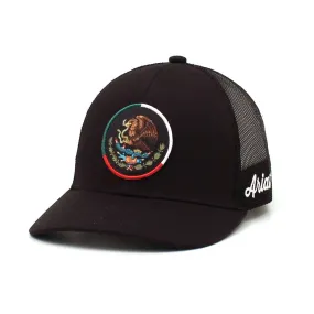 Ariat Men's Mexico Flag Eagle Black SnapBack