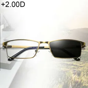 Dual-purpose Photochromic Presbyopic Glasses,  2.00D(Gold)