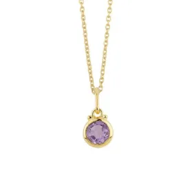 February Birthstone Charm Necklace