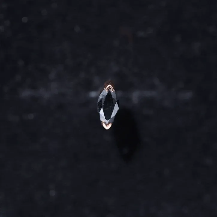 Marquise Black Onyx Solitaire Conch Earring