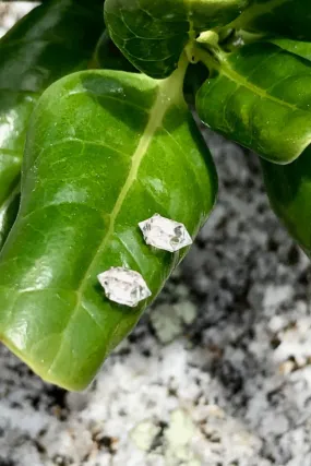 Raw Herkimer Diamonds Silver Studs